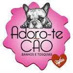 Adoro-te Cão - Banhos e Tosquias