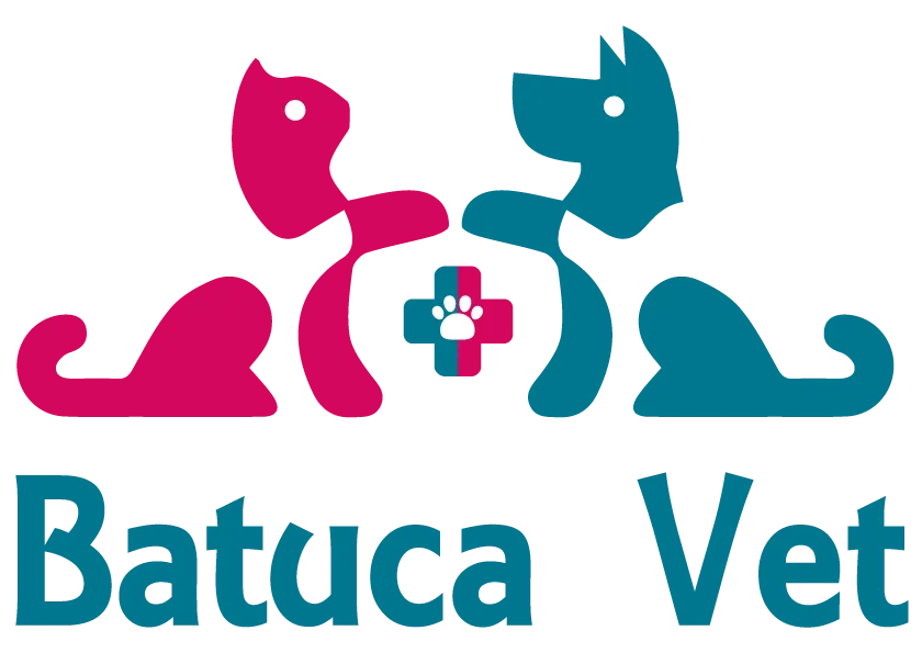 Batuca Vet